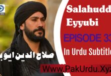 Salahuddin Ayyubi Episode 33 Review